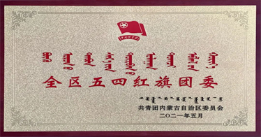 鴻德團(tuán)委榮獲2020年度“全區(qū)五四紅旗團(tuán)委”、學(xué)生杜慶榮獲“全區(qū)優(yōu)秀共青團(tuán)員”