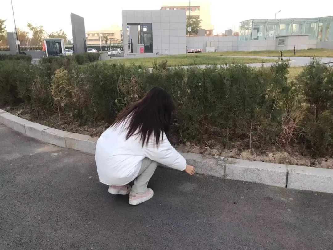 微信圖片_20250515201040.jpg